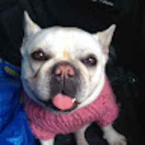 Meet your Posher, Claire